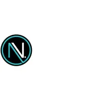 NUSET INDUSTRIES INC