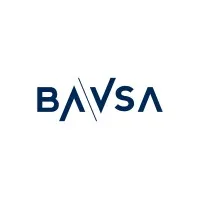 BAVSA ┃ Buenos Aires Valores S.A.