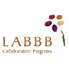 LABBB COLLABORATIVE CORP LABBB COLLABORATIVE CORP