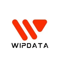 WipData