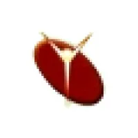 Yugma Impressions