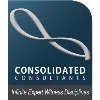 Consolidated Consultants Co. Consolidated Consultants Co.