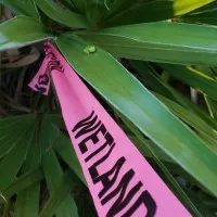 Mastodon Environmental Mastodon Environmental