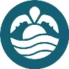 The Snorkel Store The Snorkel Store