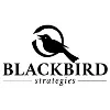 Blackbird Strategies Blackbird Strategies