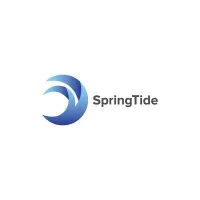 Springtide Consulting,                                           HR Consulting Entreprise