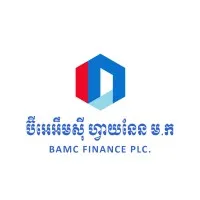 BAMC FINANCE PLC.