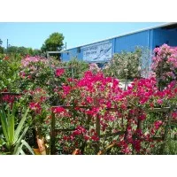 Naples Fertilizer & Garden Centers