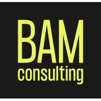 BAM Consulting