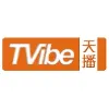 TVibe Corporation