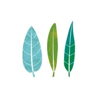 Environment Education Victoria