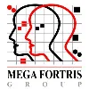 Mega Fortris Group Mega Fortris Group