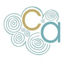 Cloud Accounting & Consulting, Inc.