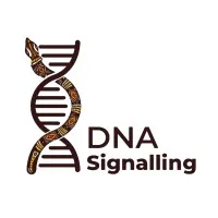 DNA Signalling