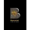 Bhanushali Studios Limited Bhanushali Studios Limited