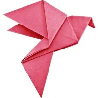 Datagami