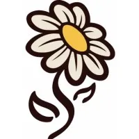 DAISY CAKES