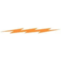 Langer Electric