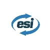 GROUP ESI GROUP ESI