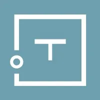 Trends Electronics International Inc.