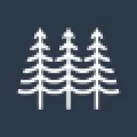 The Forest The Forest