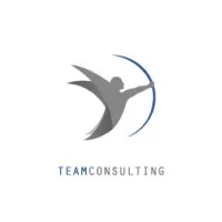 Team Consulting International