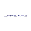 CAMEX LLC CAMEX LLC