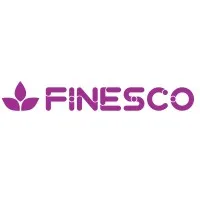 Finesco Consulting Services