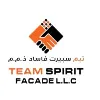 Team Spirit Facade LLC Team Spirit Facade LLC