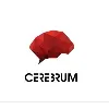 PT CEREBRUM EDUKANESIA NUSANTARA PT CEREBRUM EDUKANESIA NUSANTARA