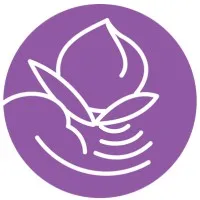 Self-Help for the Elderly