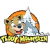 Teddy Mountain LLC Teddy Mountain LLC