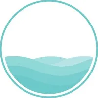 The Calm Collective