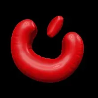 Nowon New Media agency