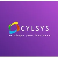Cylsys Software Solution Pvt Ltd.