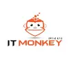IT MONKEY