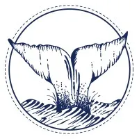 The Spotted Whale a B Oliver Designs Company