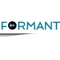 Formant Information Technologies Formant Information Technologies