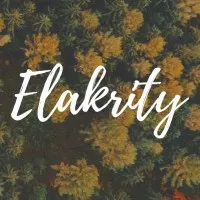Elakrity International