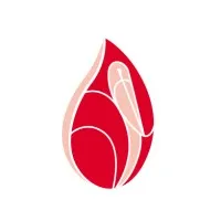 Irish Blood Transfusion Service