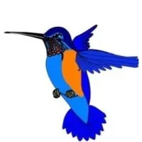 COLORADO RIVER BEHAVIORAL HEALTH SYSTEM