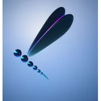 Ontic Ortho Solutions Pty Ltd