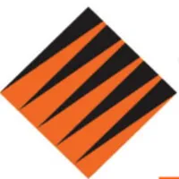 TigerTeam Capital Humano