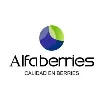 Exportadora Alfaberries Exportadora Alfaberries
