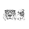 Digital Dogs Content and Media Digital Dogs Content and Media
