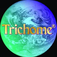 Trichome