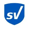 SafeVision SafeVision