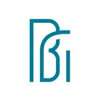 The Bridge Group LLC