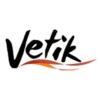 Vetik email format