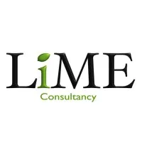 Lime Source Consultancy